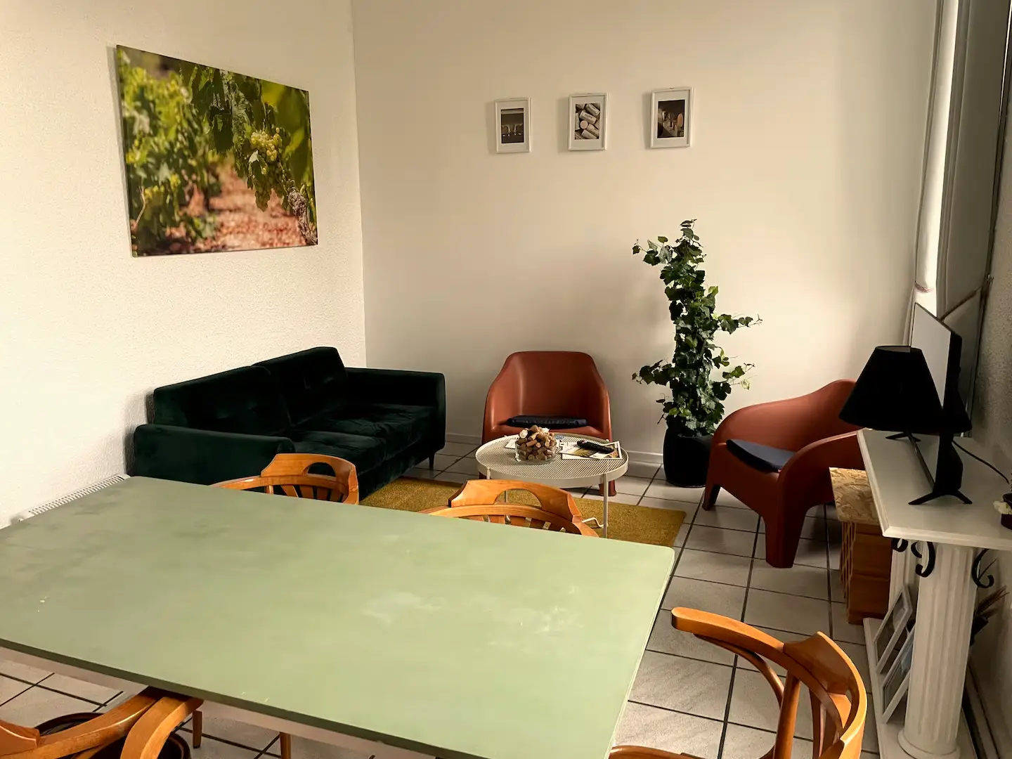 Salon lumineux : canapé en velours vert, fauteuils terracotta et grande table